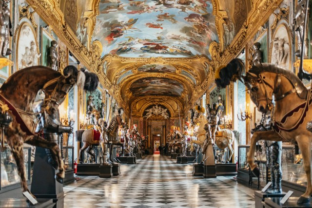 Visit Turin Royal Palace Entry Ticket and Guided Tour in Turín