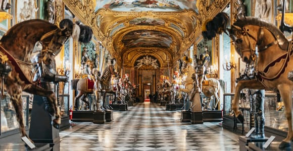 Turin: Eintrittskarte für den Königspalast und geführte Tour