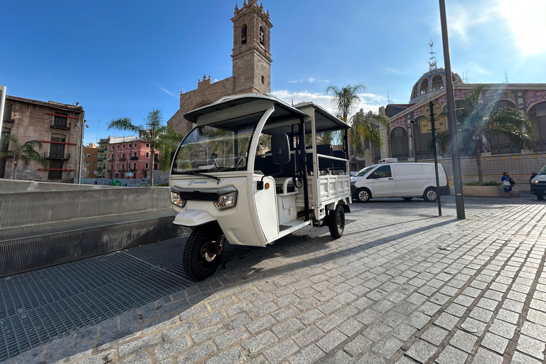 Valência - Passeio completo de TukTuk 2H