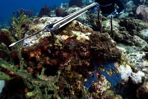 Underwater fishing in Martinique Martinique Underwater Hunting