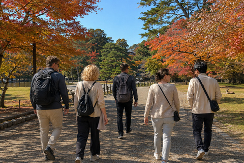Nara: Autumn Colors, Deer & Historic Park Walk Early Bird 20% Off – Limited Autumn Offer