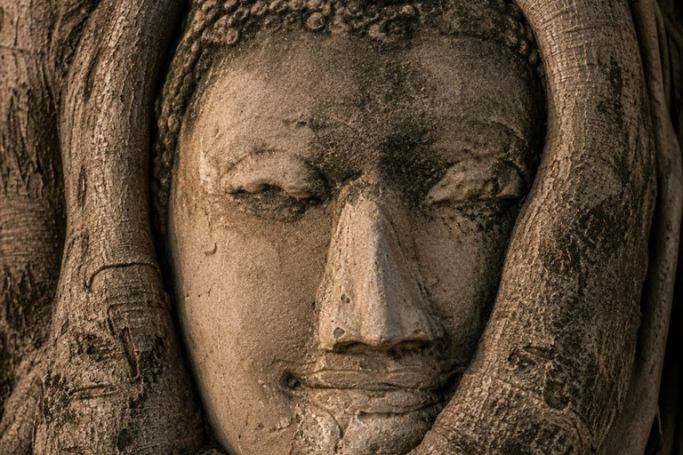 Bangkok: Ayutthaya Temples and Khao Yai National Park Tour Small Group Tour