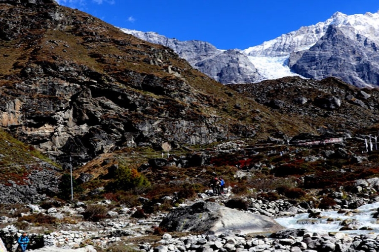 4 Tage kürzester Langtang Valley Trek von Pokhara