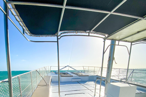 Punta Cana Bavaro: Catamarã privado com snorkel, open bar e navegaçãoPunta Cana Bavaro: Catamarã privado com snorkel, open bar e passeio de barco