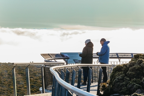 Mt Wellington, Mt Field, Bonorong und Richmond: Tagestour