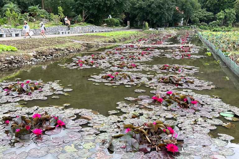 From Hanoi: Ninh Binh Day Tour with Boat Ride & Lunch Group Tour Experience (+20usd/pax)