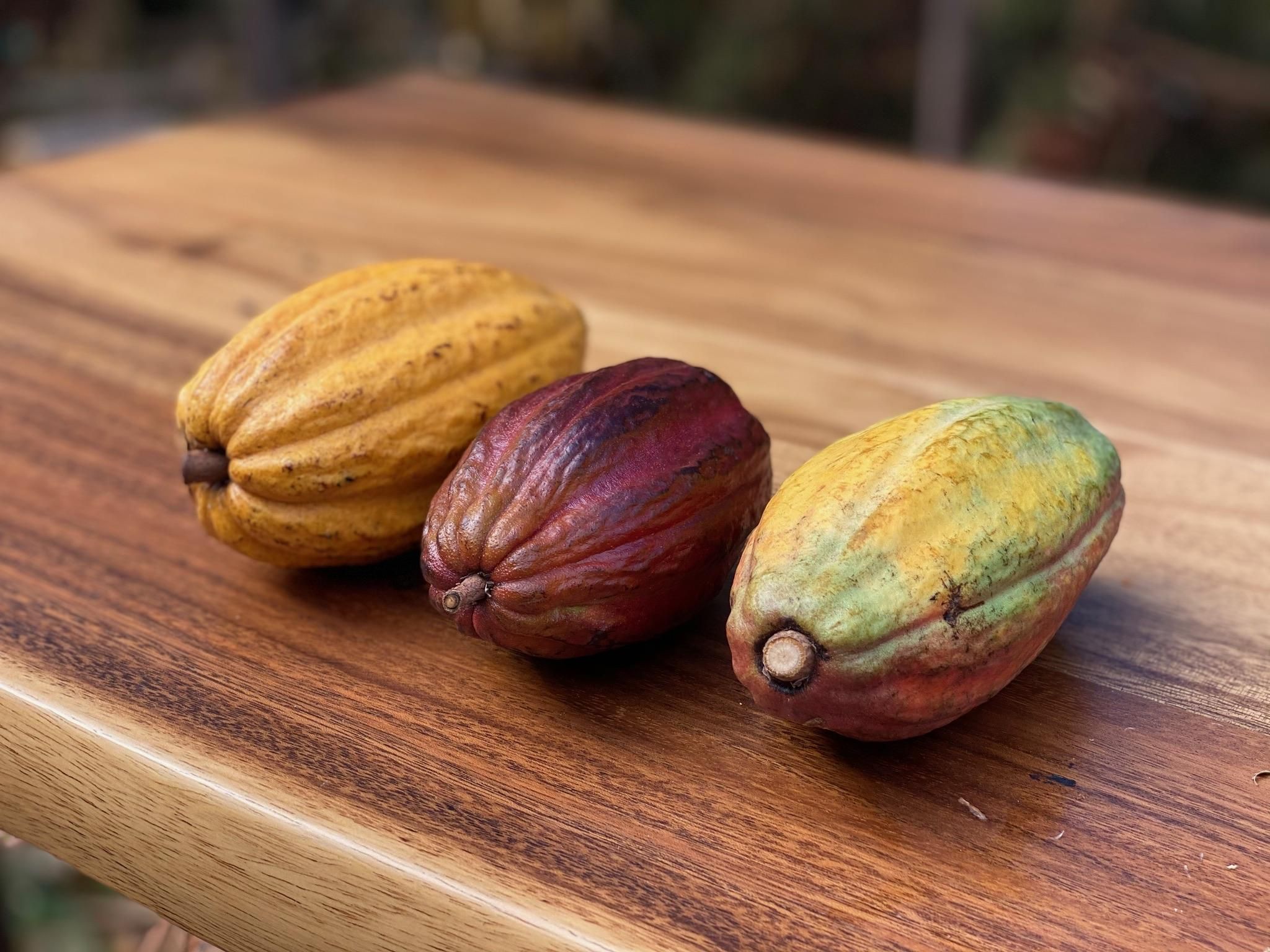 Lahaina: Tour auf einer Kakaofarm und Festmahl