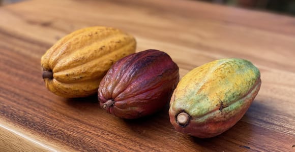 Lahaina: Cacao Farm Tour and Feast