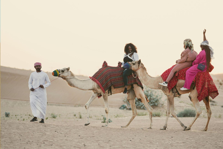 卡塔尔沙漠故事：四驱车内海导览之旅卡塔尔沙漠故事：四驱车沙漠之旅（含向导）