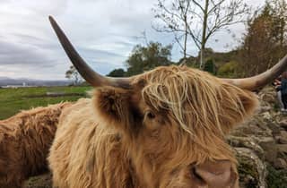 Private Tour von Loch Ness, Pitlochry, Glencoe und den Highlands
