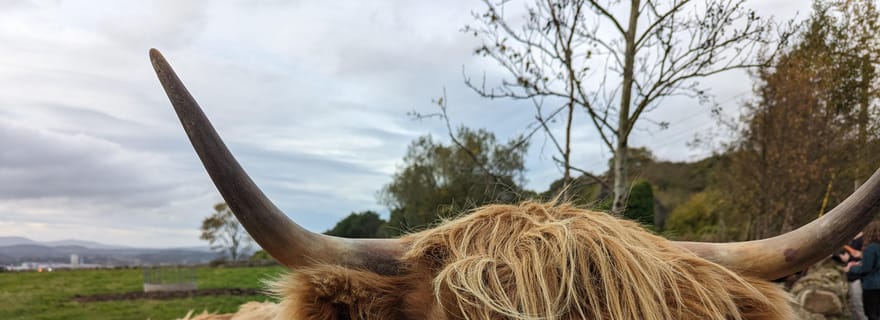 Visite privée du Loch Ness, de Pitlochry, de Glencoe et des Highlands