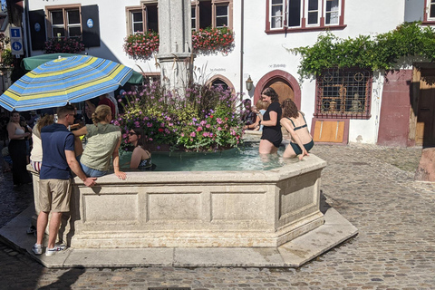 Bazel: Hoogtepunten en oude binnenstad wandeling met gids