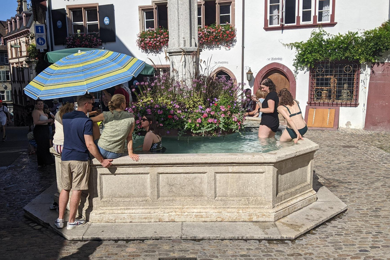 Bâle : Points forts et promenade guidée dans la vieille ville