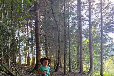 Luvigny: an unusual getaway with donkeys and goats