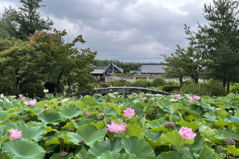 Kyoto Arashiyama Best Spots 4h Private Tour