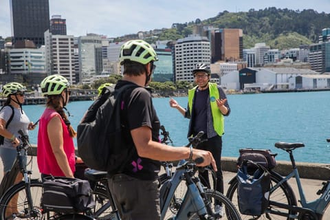 Wellington: Guided Sightseeing Tour by Electric Bike - Image 2