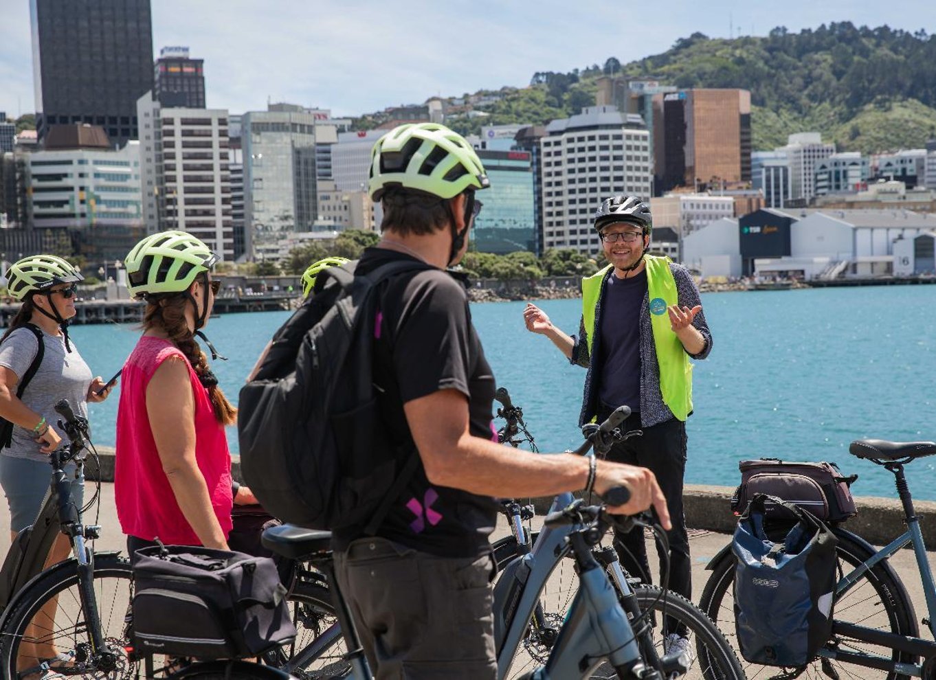 Wellington: Easy Rider guidet tur på eBike