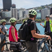 Wellington: Guided Sightseeing Tour by Electric Bike