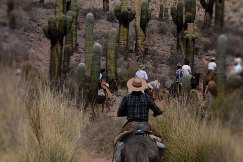 Horseback riding in the Calchaquí Valleys - Salta - Argentina
