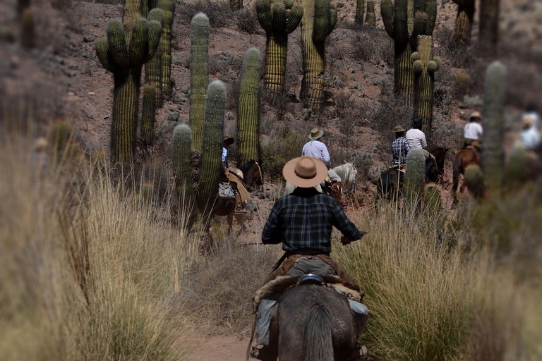 Horseback riding in the Calchaquí Valleys - Salta - Argentina