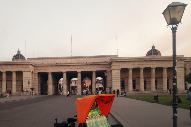 RAXI (Electric Rickshaw) Vienna 90 minutes tour