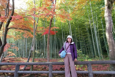 Kyoto: private and customized tour (walking/public transportation)4 hr guided tour