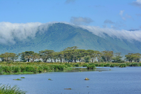 Ngorongoro krater; Safari vanuit Zanzibar inclusief vluchtenNgorongoro Krater; 2 Dagen Lodge Safari met vluchten