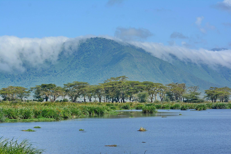 Ngorongoro krater; Safari vanuit Zanzibar inclusief vluchtenNgorongoro Krater; 2 Dagen Lodge Safari met vluchten