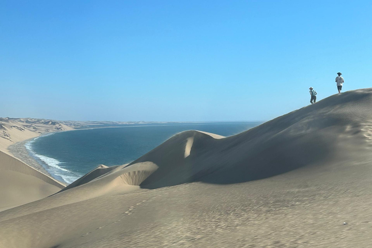 Sandwich Harbor Excursion Namibia/Walvis bay