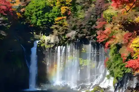 From Tokyo: Karuizawa Private Customize Day Tour