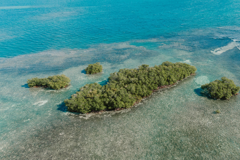 Guadeloupe: Magical half-day boat trip: mangrove, islet, snorkeling. Guadeloupe: Magical 1/2-day boat trip: mangrove, islet, snorkeling.
