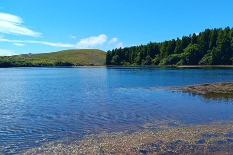Flower Island: Van Tour