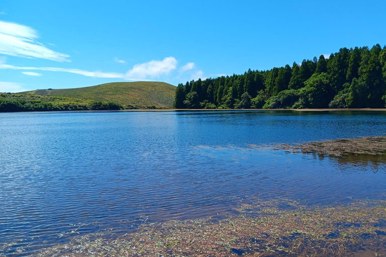 Flower Island: Van Tour
