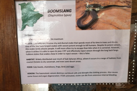 Kasane: Cultural Tour with Snake Park and Quad Bike Ride