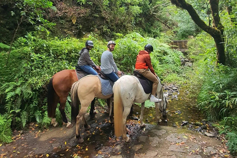 Madeira Horse Riding: Laurel Forest Trail