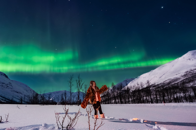 Tromsø: Northern Lights Tour (Max 8) Pickup + Finland