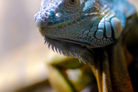 Bergen: toegangsbewijs voor het aquarium en rondleidingEntry Ticket and fish guiding with Nordic fish species