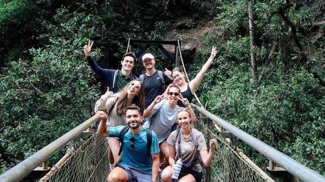 Brisbane: 6 Waterfalls, Koalas & Natural Bridge Day Tour
