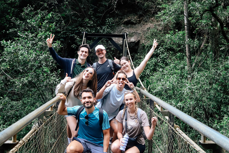 布里斯班：斯普林布鲁克七瀑布与天然桥之旅布里斯班：斯普林布鲁克七瀑布与天然石桥游览