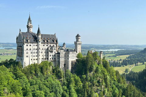 Tour privato di Neuschwanstein con partenza tardiva da Monaco di Baviera