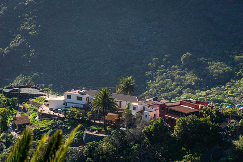 West Tenerife: Icod, Garachico & Masca Scenic Route Tour West Tenerife – Private Experience
