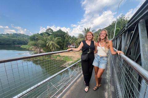 Kandy: Guided City Tour/Temple of the Tooth & Tea Factory