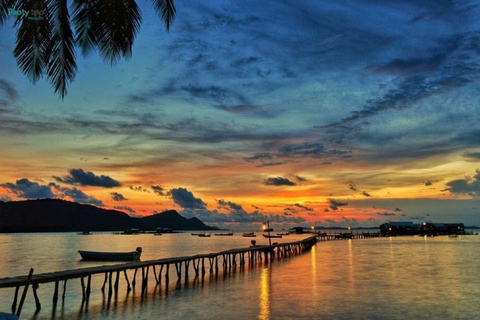 From Phu Quoc: Natural & Starfish Half-Day Private Tour