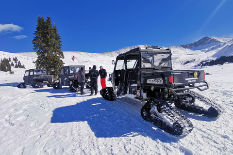 Hatcher Pass: Heated & Enclosed ATV Tours - Open All Year!