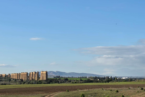 Cultural and culinary tour from Tunis