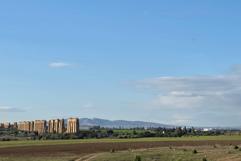Cultural and culinary tour from Tunis