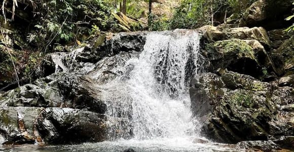 Langkawi Hidden Waterfall Hiking Tour with Thai Island Views