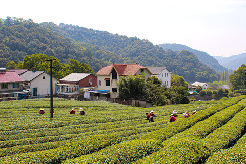 Hangzhou: Private City Highlights Tour with Boat Ride
