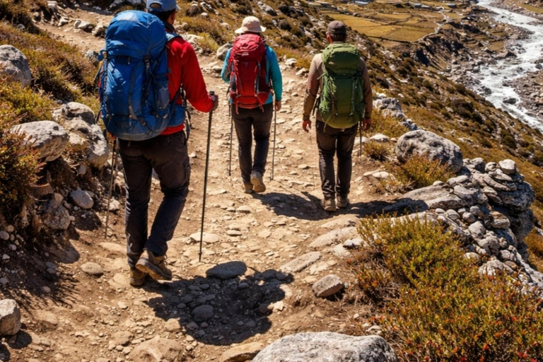 Short & Stunning: 5-Day Langtang Valley Trek from Pokhara