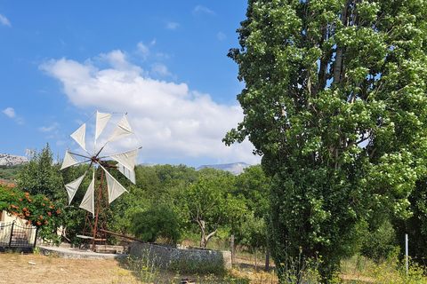 2 Days Tour in Crete - Knossos Zeus Cave Rethymno & Chania Highlights of Crete-Tour to Knossos Lasithi Rethymno&Chania